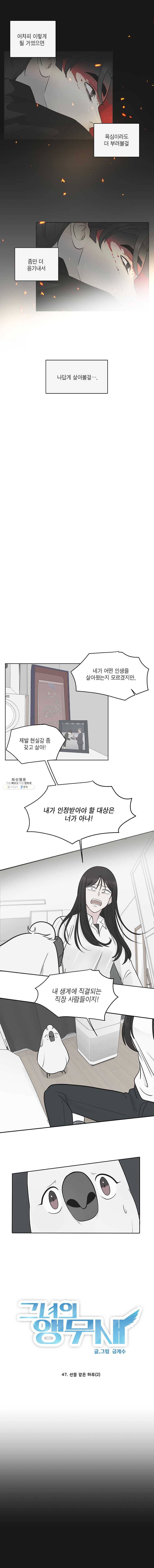 그녀의 앵무새 47화 선물 같은 하루(2) 6