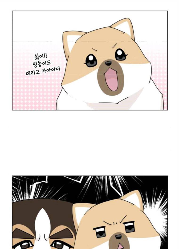 개를 낳았다 시즌2 55화 4