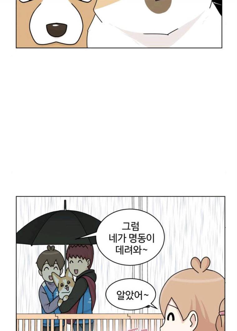 개를 낳았다 시즌2 55화 5