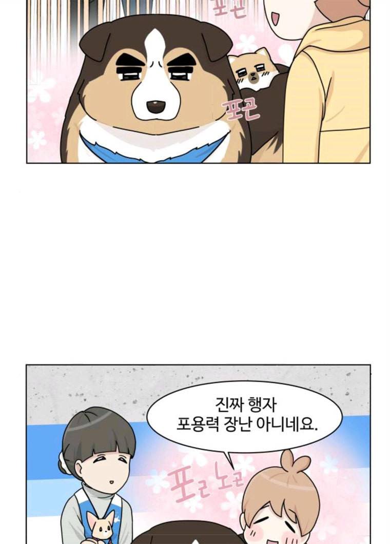 개를 낳았다 시즌2 55화 6