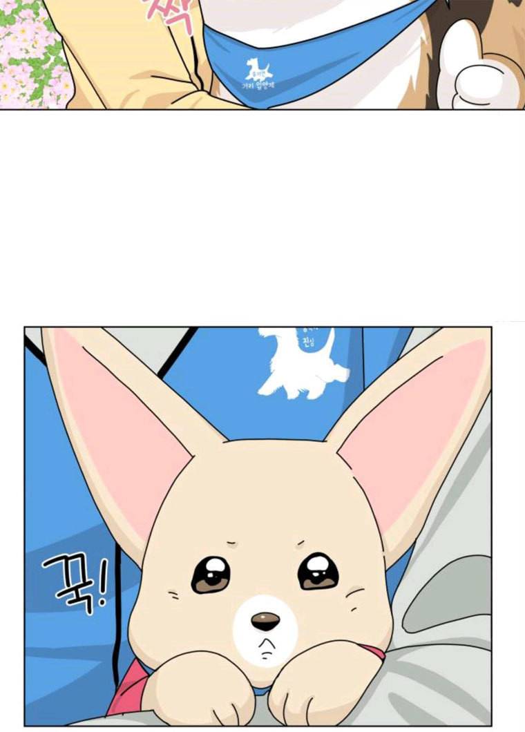 개를 낳았다 시즌2 55화 10