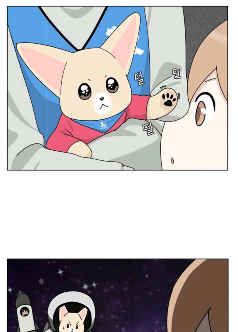 개를 낳았다 시즌2 55화 12