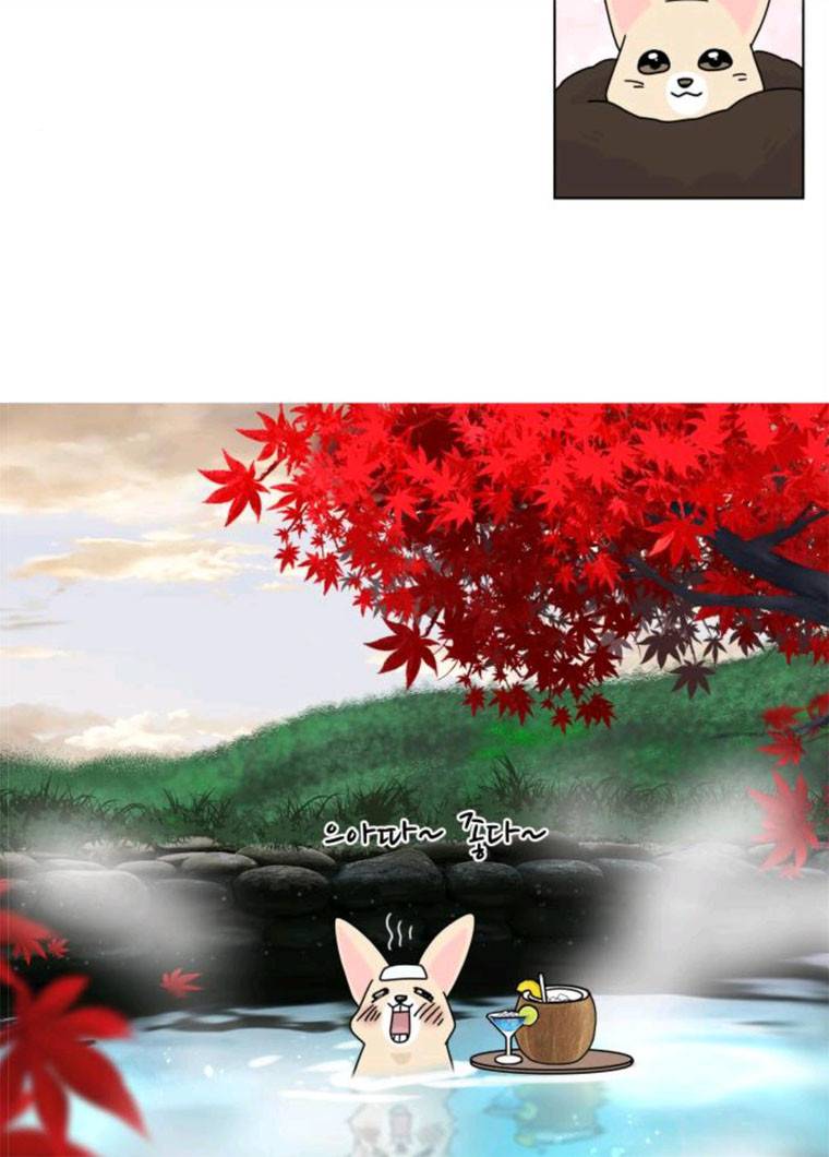 개를 낳았다 시즌2 55화 19