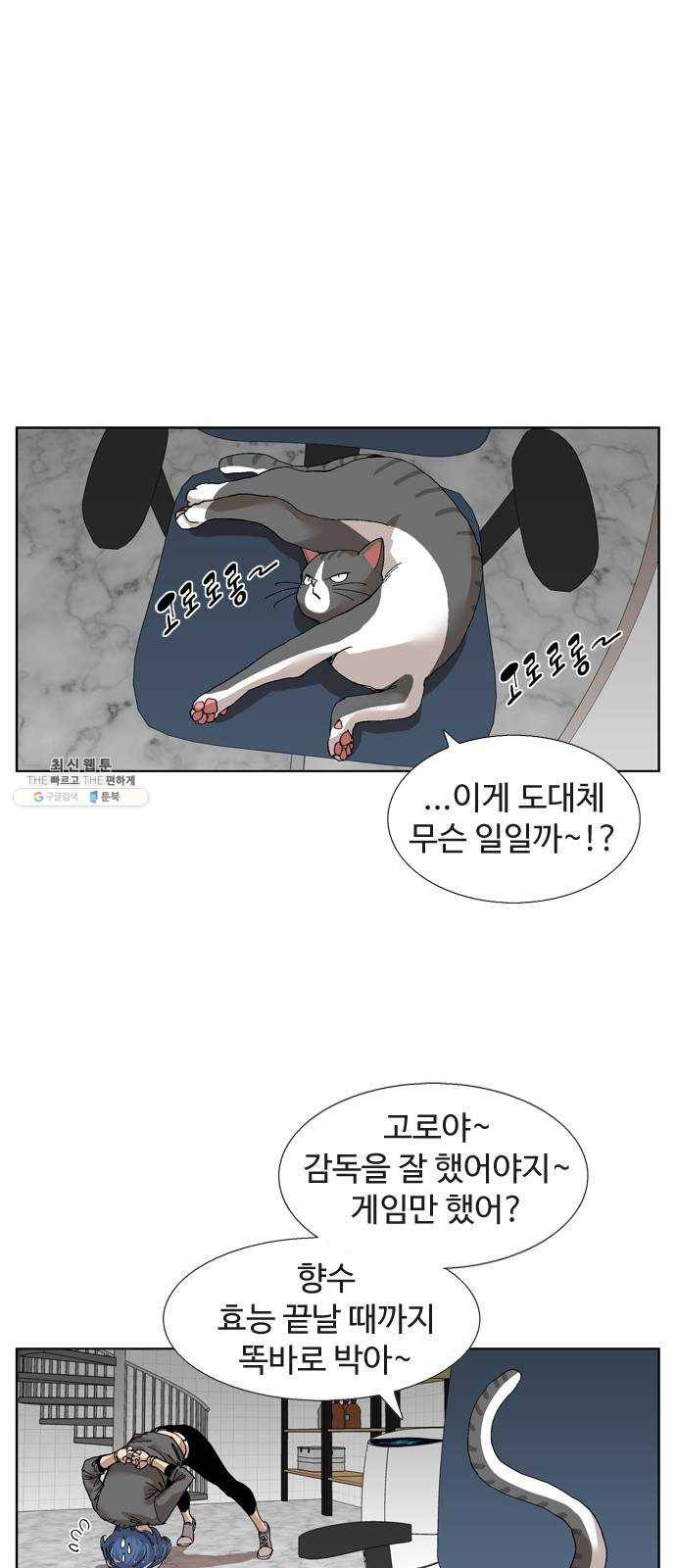 개밥 먹는 남자 27화 - 수상한 고양이들 1