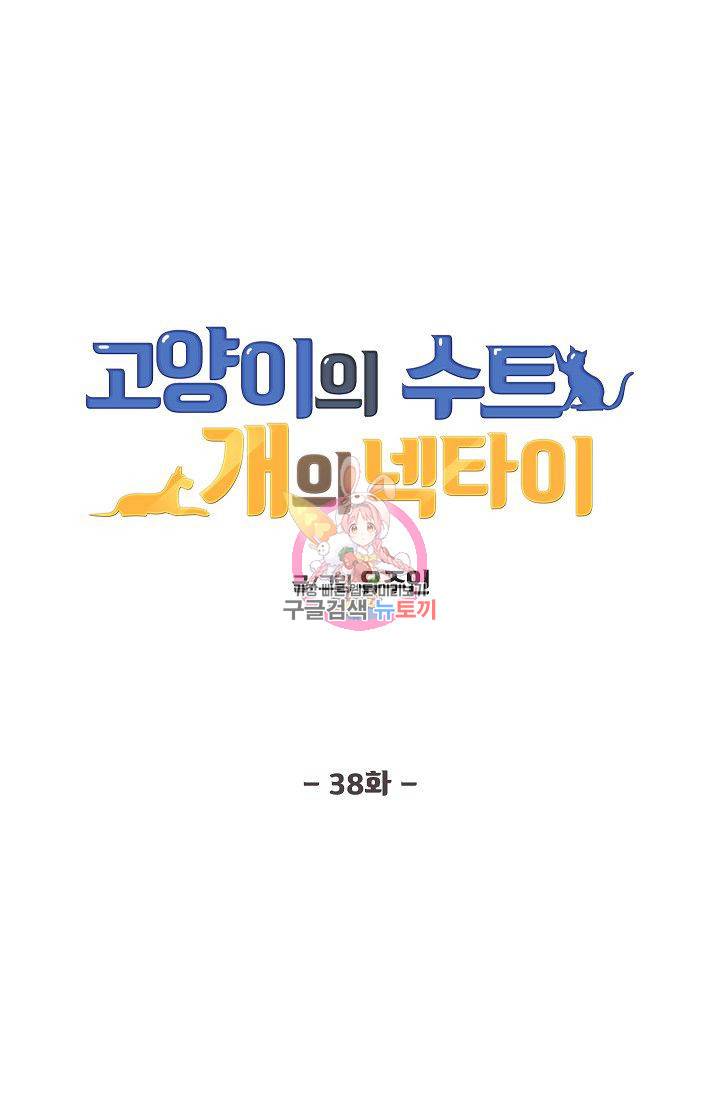 고양이의 수트 개의 넥타이 38화 1