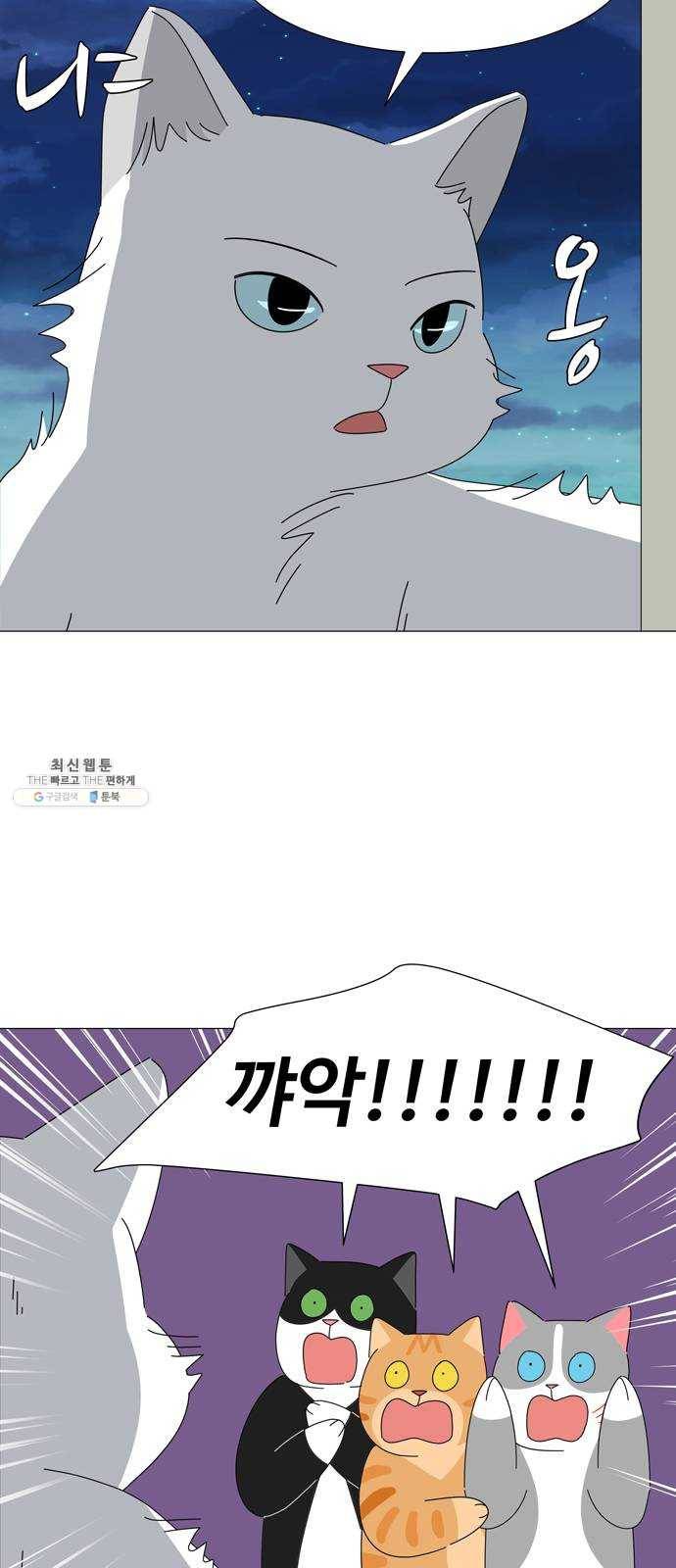 야생천사 보호구역 17화 서로의 별 3