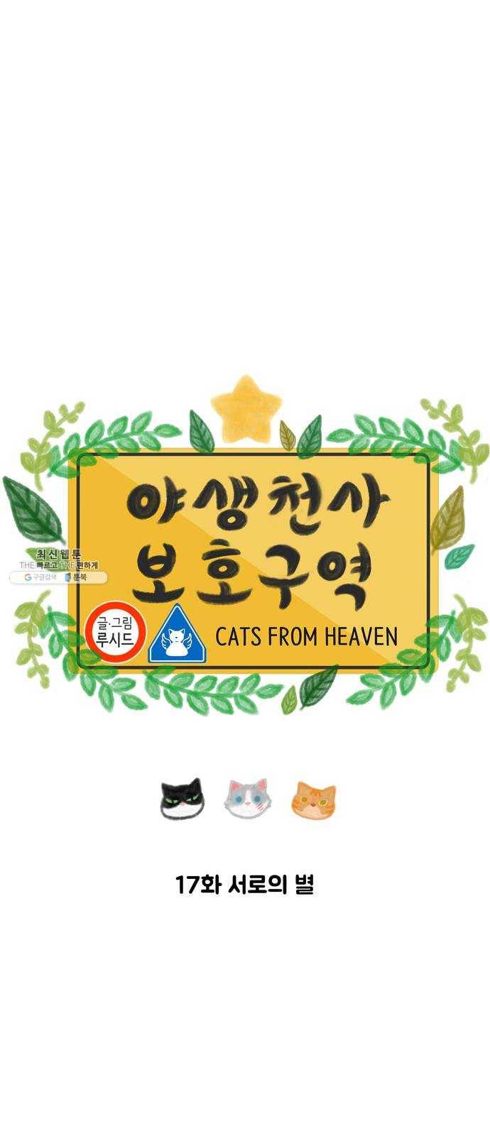 야생천사 보호구역 17화 서로의 별 8