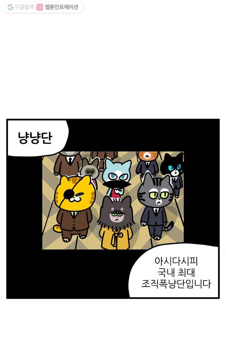 신세개냥 2화 2