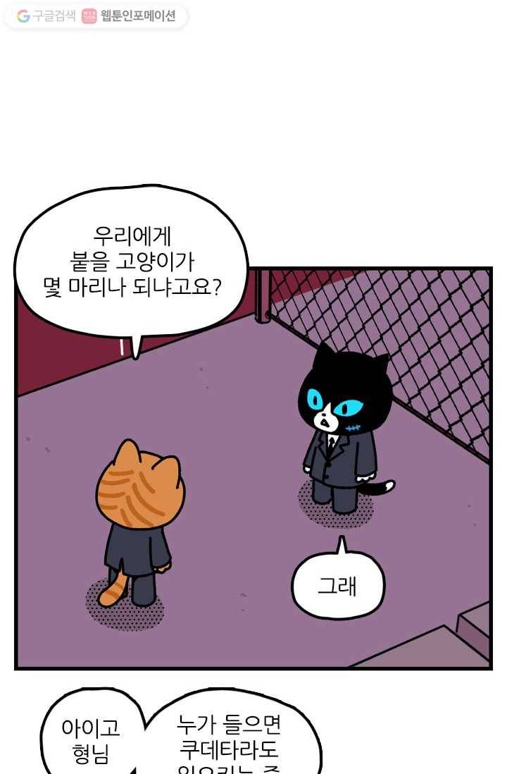 신세개냥 91화 2