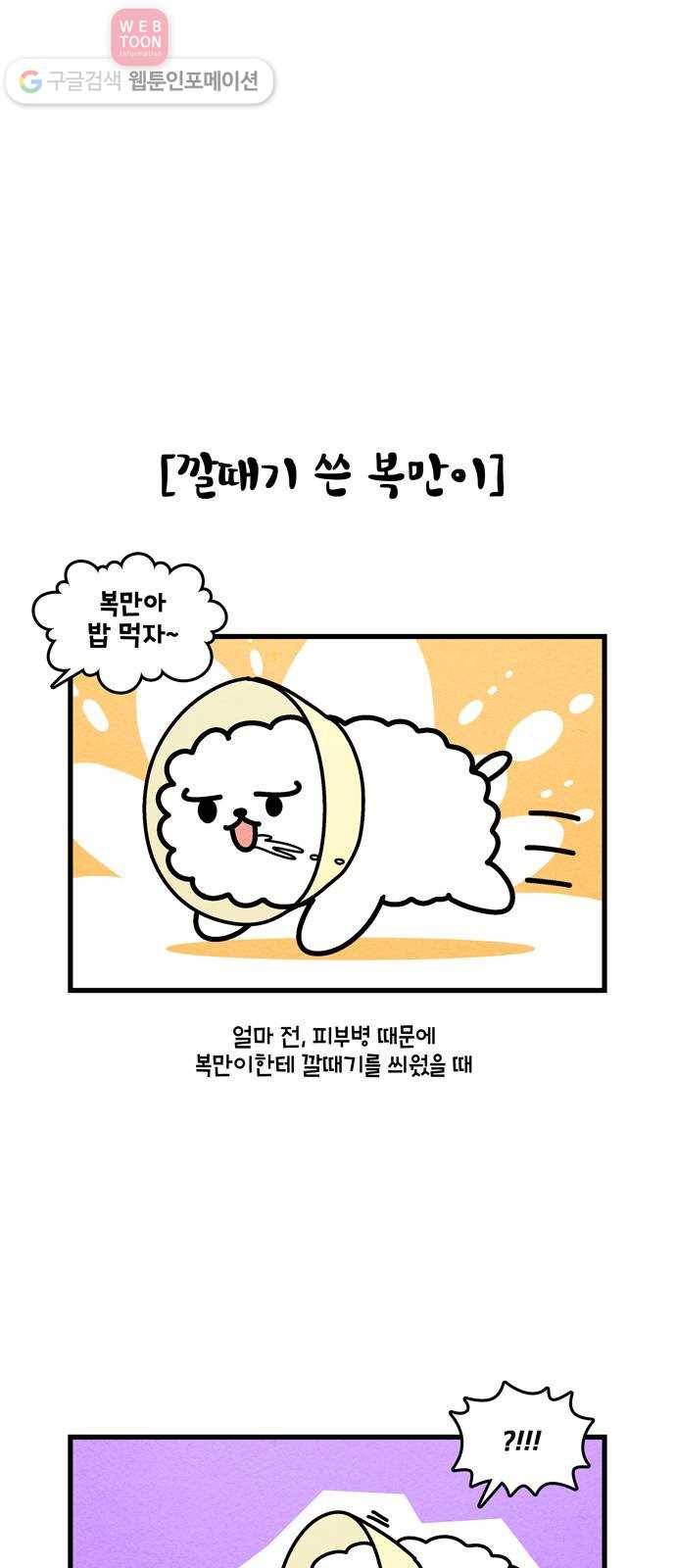 윌유메리미 시즌2 347화 복만이 큰수술 2 5