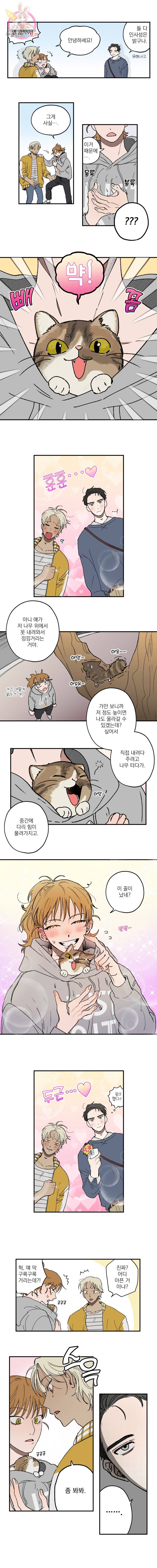 로맨틱 리벤지 12화 3