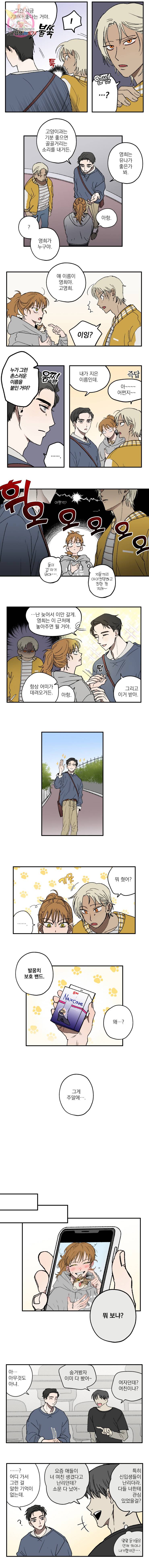 로맨틱 리벤지 12화 4