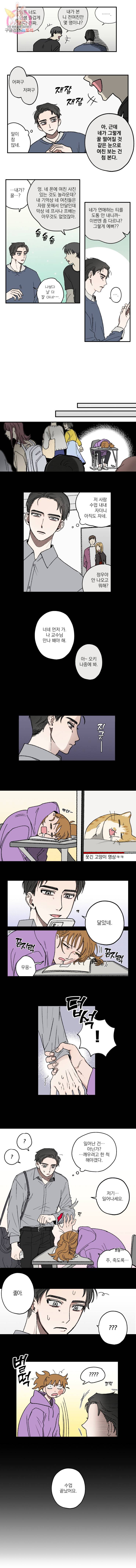 로맨틱 리벤지 12화 5