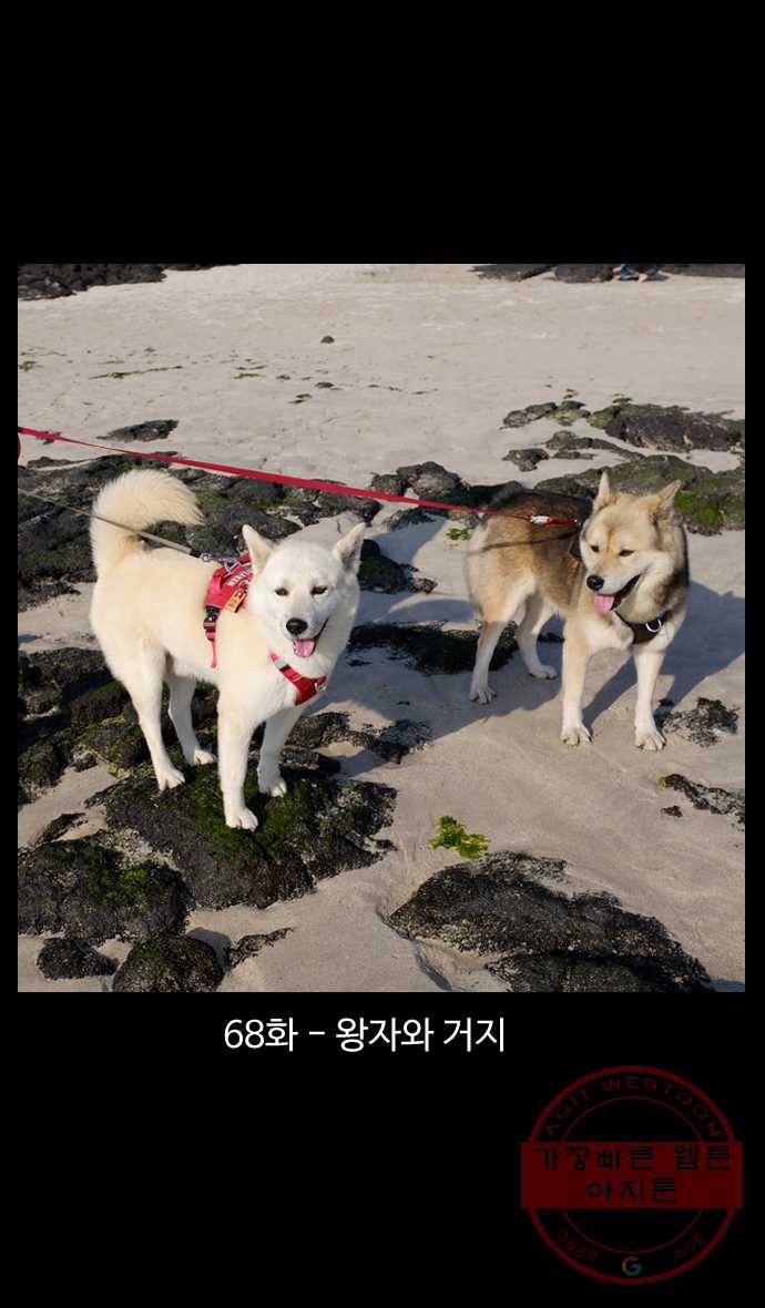 노곤하개 시즌4 68화 왕자와 거지 1