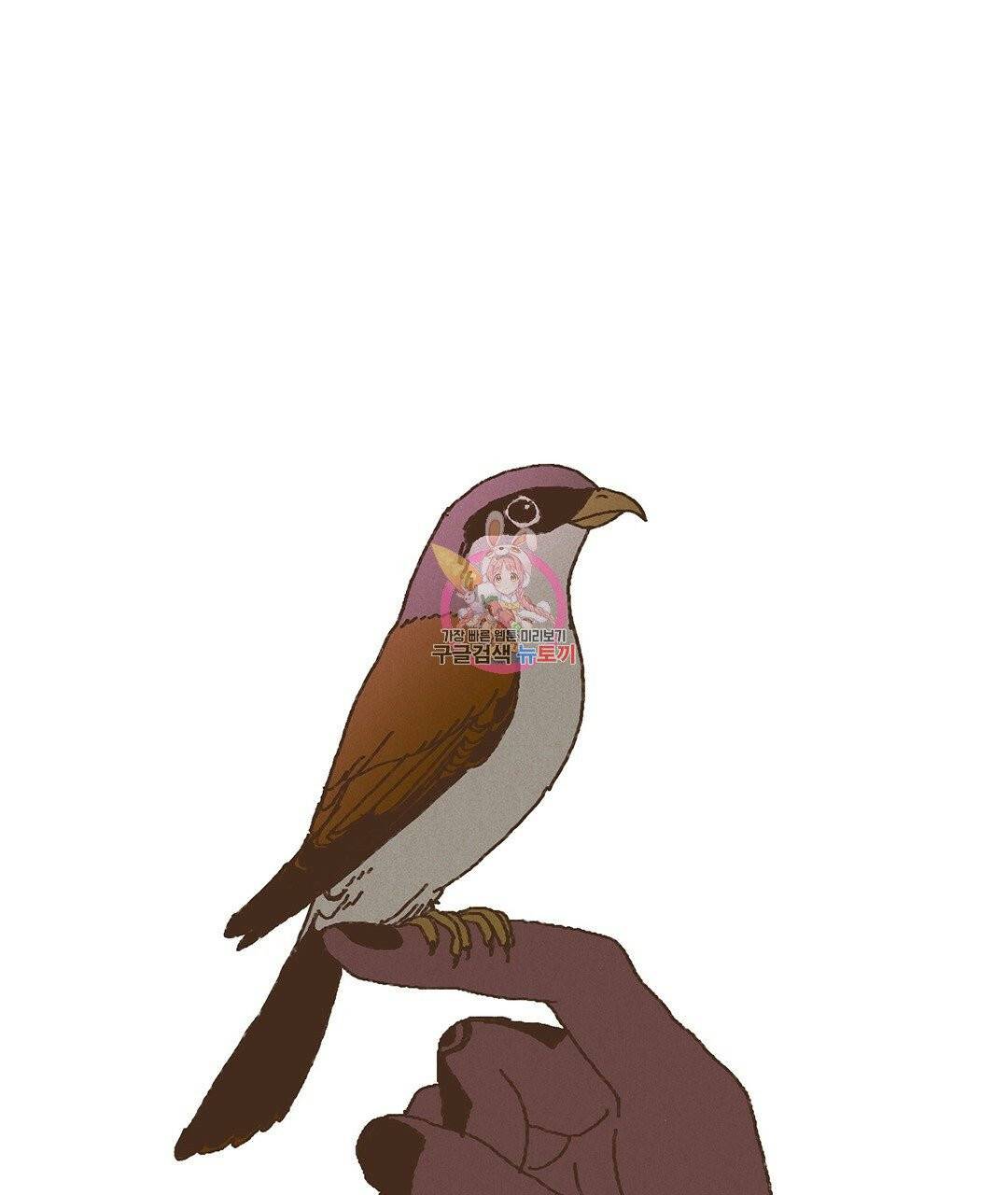엔네아드(ENNEAD) 완전판 시즌2 9화 1