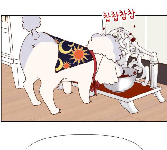 샤인 스타 33화 23