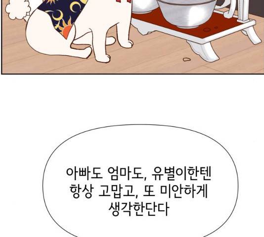 샤인 스타 33화 25