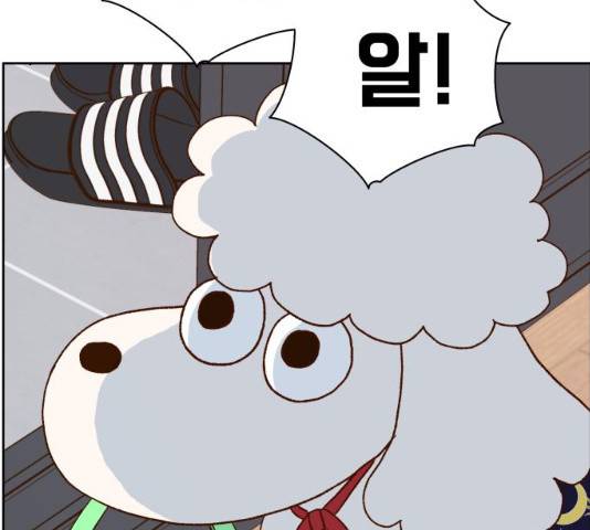 샤인 스타 33화 31