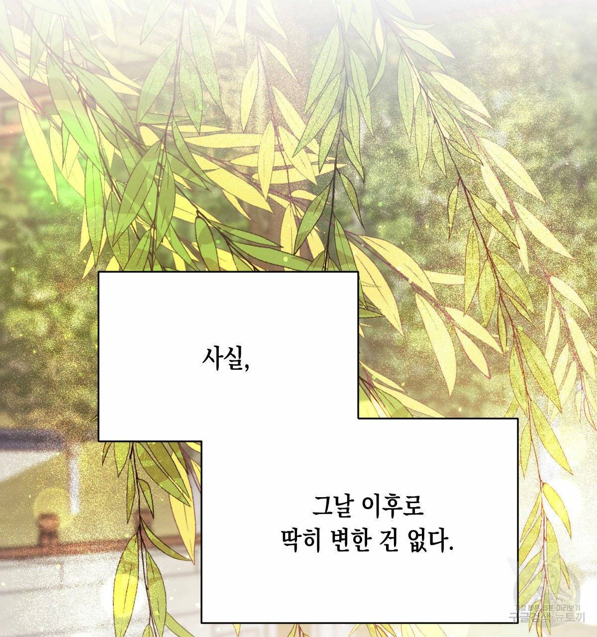 버드나무 로맨스 38화 37