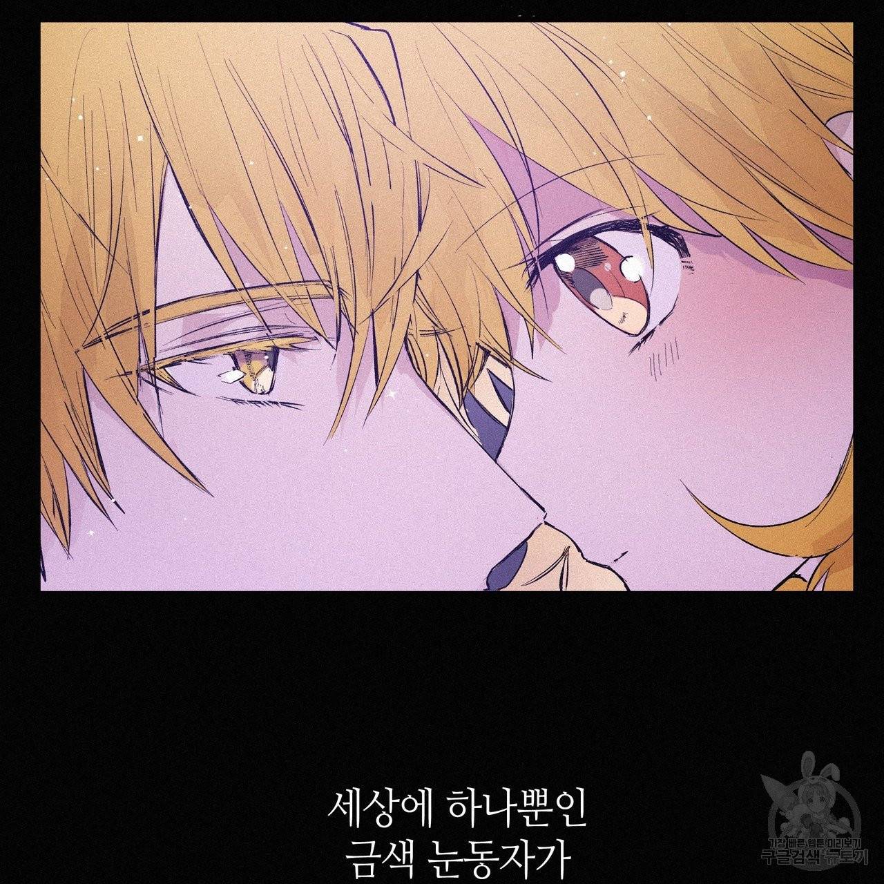 황제의 약혼녀로 산다는 것은 74화 17
