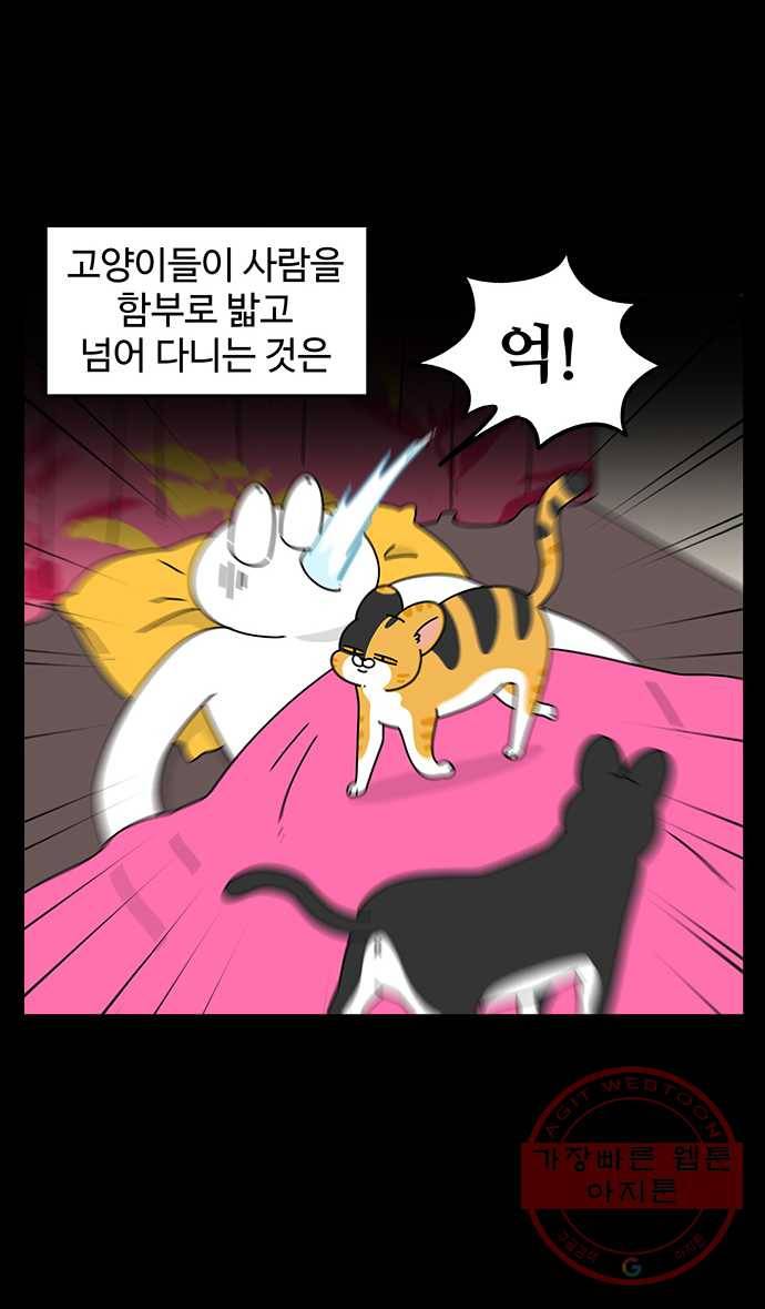 노곤하개 시즌4 73화 냥무시 2