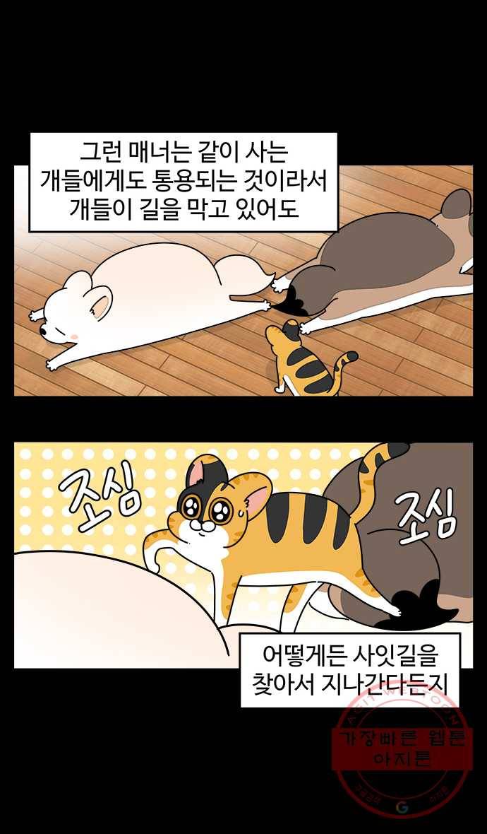 노곤하개 시즌4 73화 냥무시 5