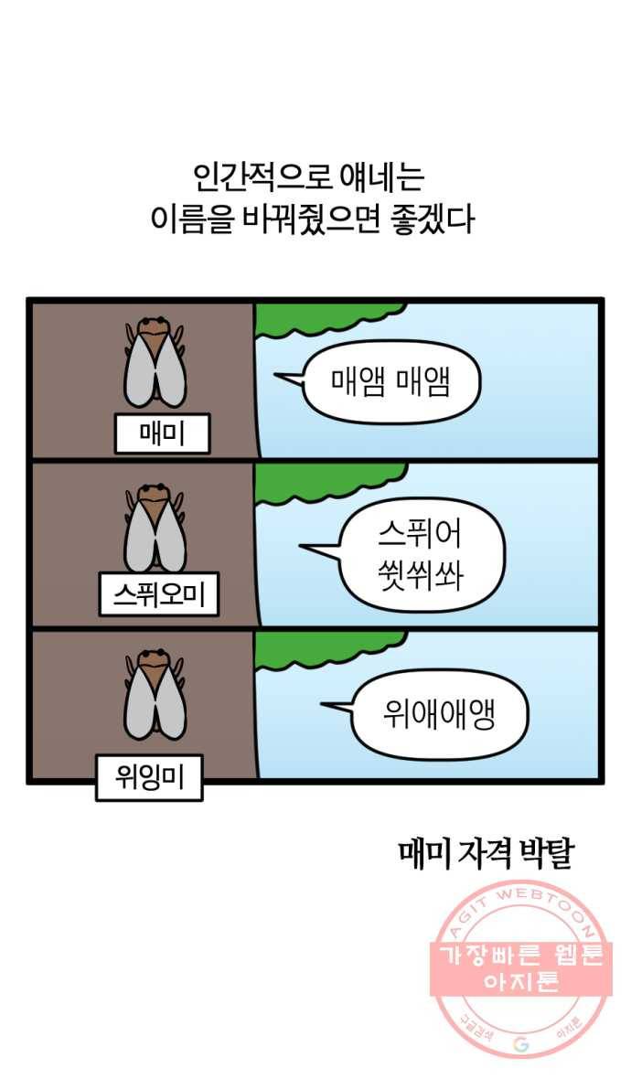 242화. 매미 9