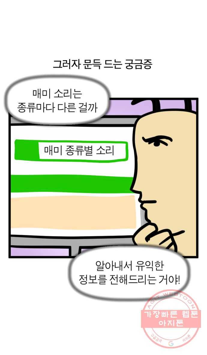 242화. 매미 11