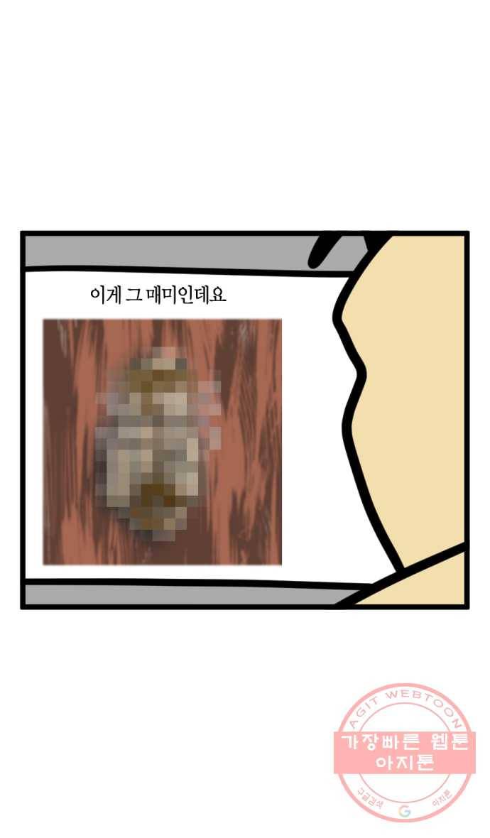 242화. 매미 13