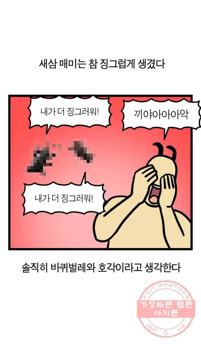 242화. 매미 15