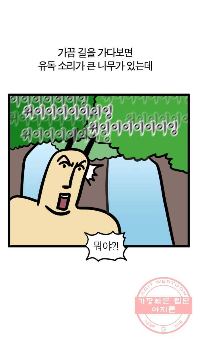 242화. 매미 16