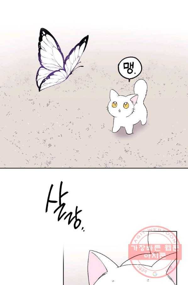 애월의 꿈 시준3 프롤로그 3