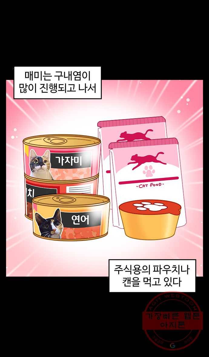 노곤하개 시즌4 76화 매미의 구내염 (1) 2