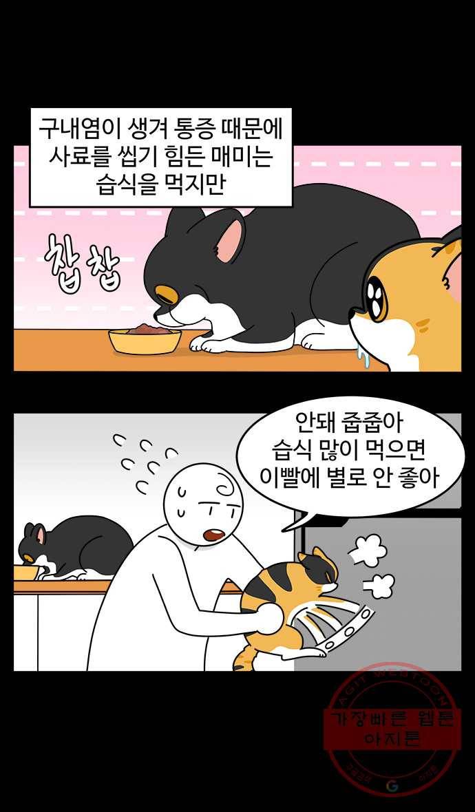 노곤하개 시즌4 76화 매미의 구내염 (1) 4