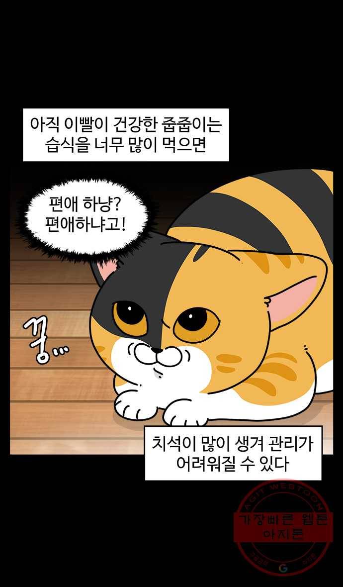 노곤하개 시즌4 76화 매미의 구내염 (1) 5