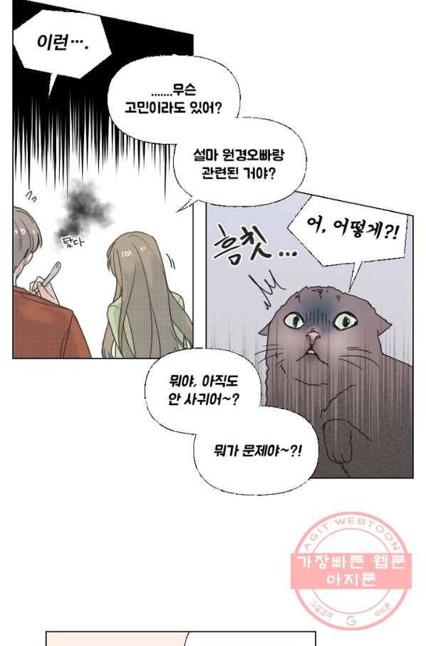 비타민C 비타민D 35화 3