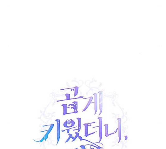 곱게 키웠더니, 짐승 46화 40