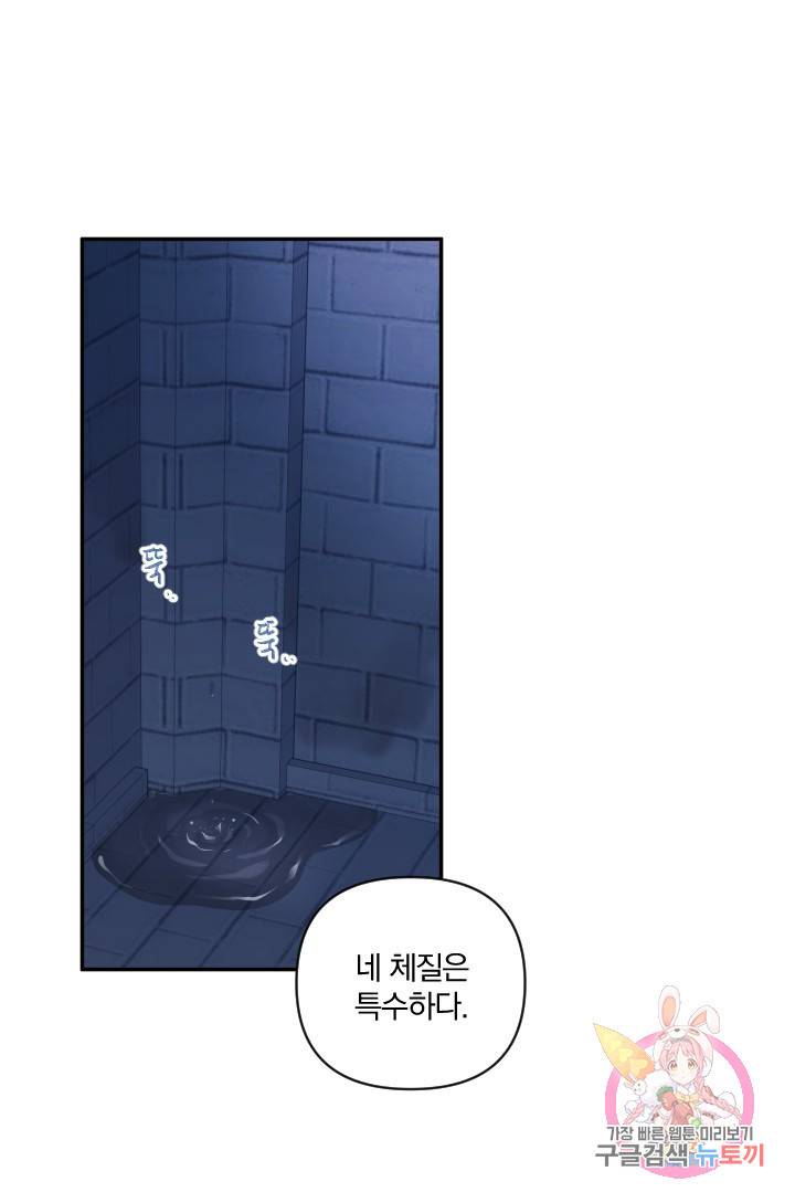 TL 소설 속 시녀가 되었습니다 51화 1