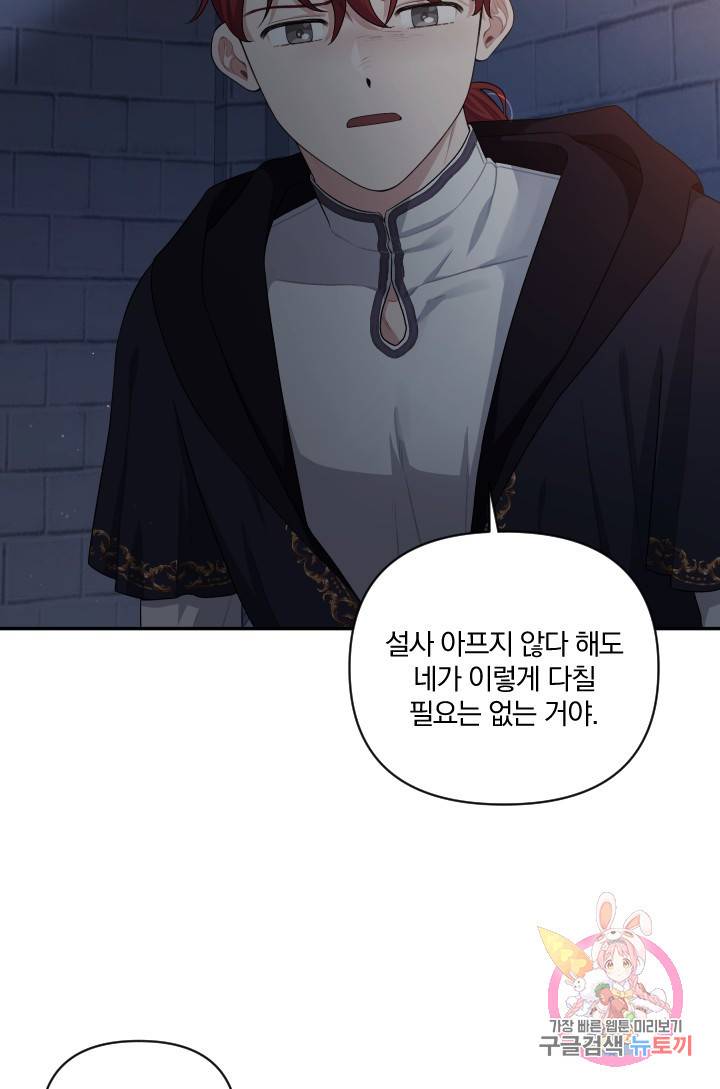 TL 소설 속 시녀가 되었습니다 51화 4