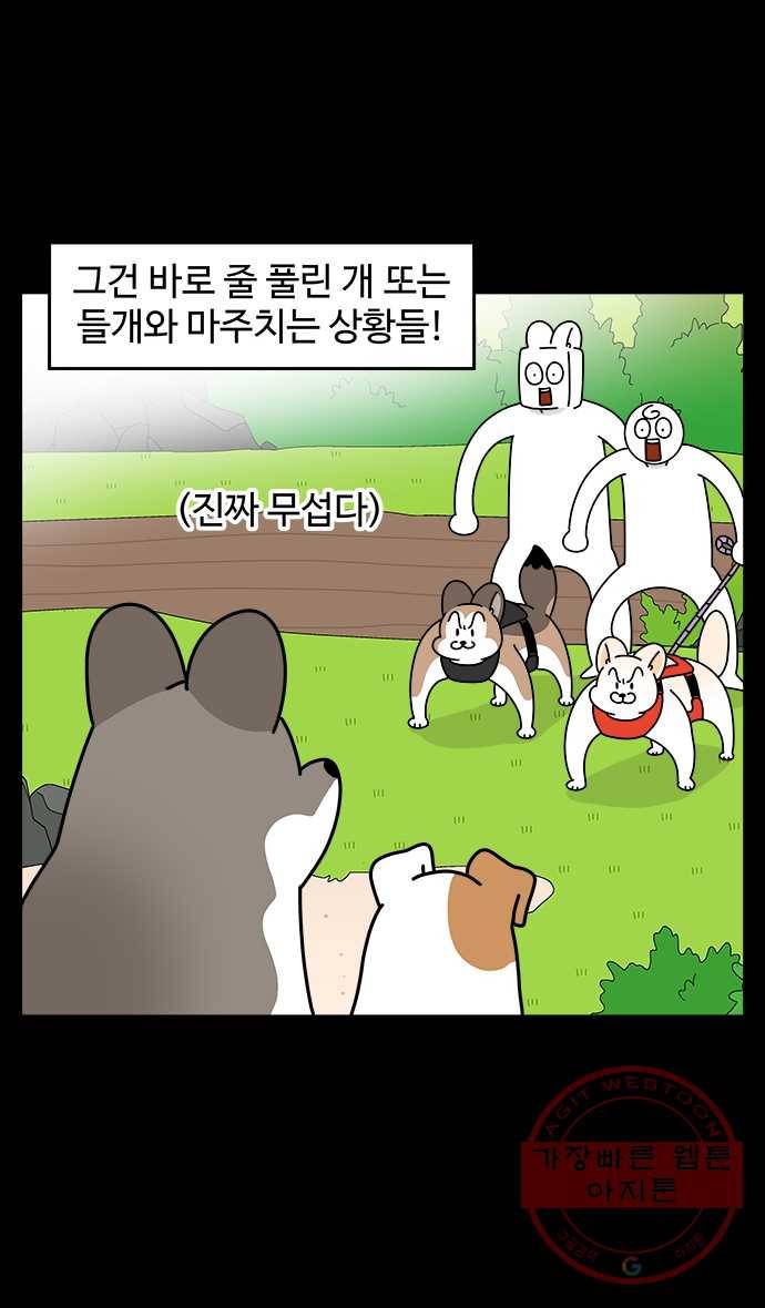 노곤하개 시즌4 84화 위험했던 일 (1) 4