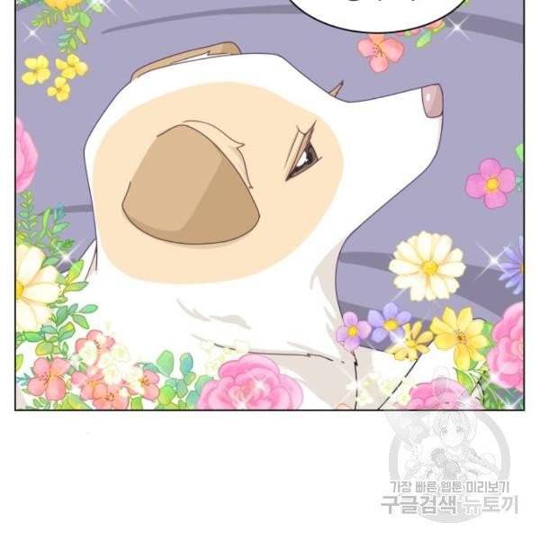 개를 낳았다 시즌2 72화 4