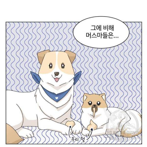 개를 낳았다 시즌2 72화 5
