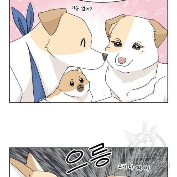 개를 낳았다 시즌2 72화 9