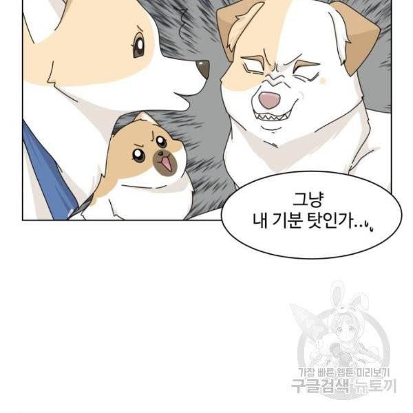 개를 낳았다 시즌2 72화 10