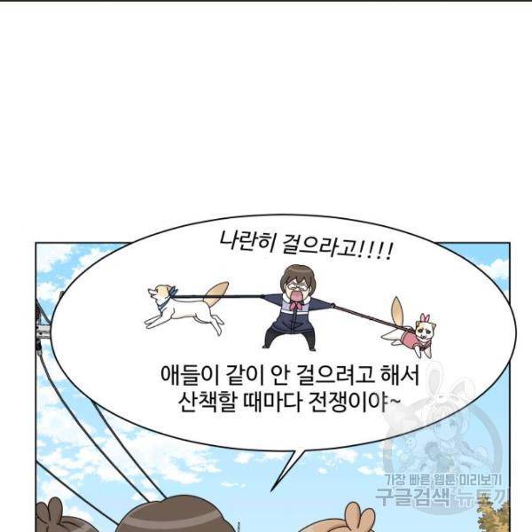개를 낳았다 시즌2 72화 15