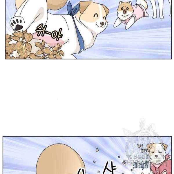 개를 낳았다 시즌2 72화 17