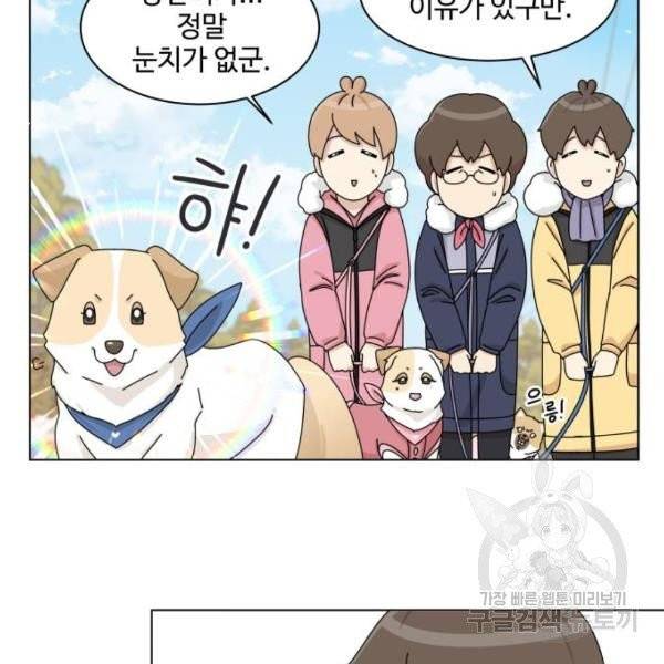 개를 낳았다 시즌2 72화 19