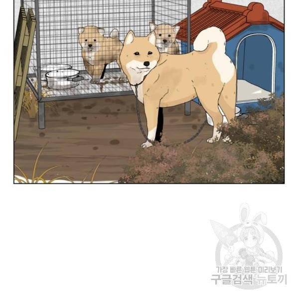 개를 낳았다 시즌2 72화 21