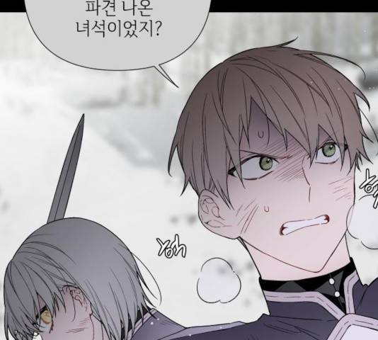 그 기사가 레이디로 사는 법 33화 8