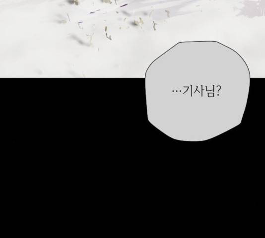 그 기사가 레이디로 사는 법 33화 26